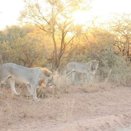 Kwalata Game Lodge Klipdrift Zewnętrze zdjęcie