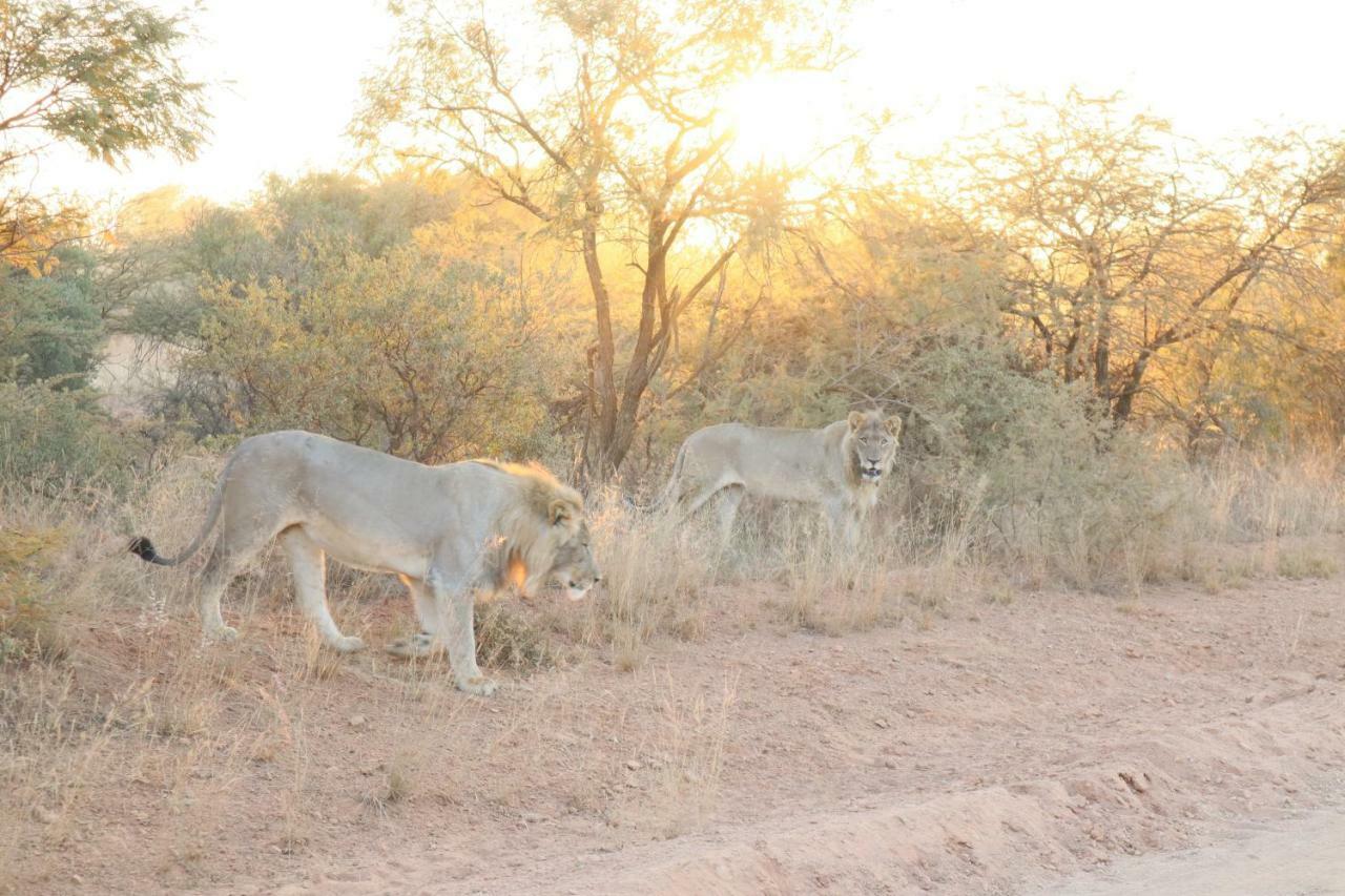 Kwalata Game Lodge Klipdrift Zewnętrze zdjęcie