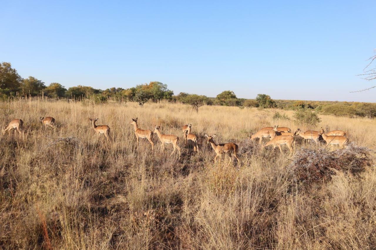 Kwalata Game Lodge Klipdrift Zewnętrze zdjęcie
